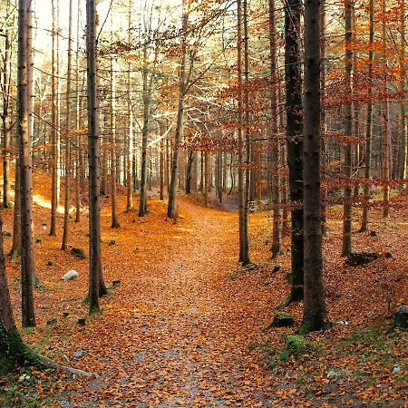 Bichlerhof
