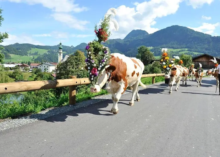 Apartment Bichlerhof Radfeld