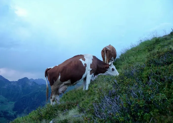 Bichlerhof Apartment