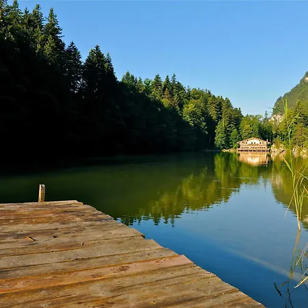 Bichlerhof Appartamento Radfeld